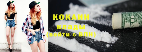прущие грибы Майский