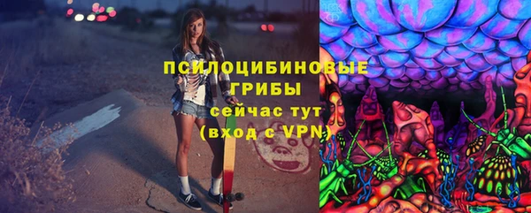 spice Лиски