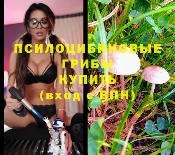 гидра Магадан