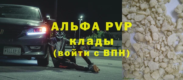 прущие грибы Майский